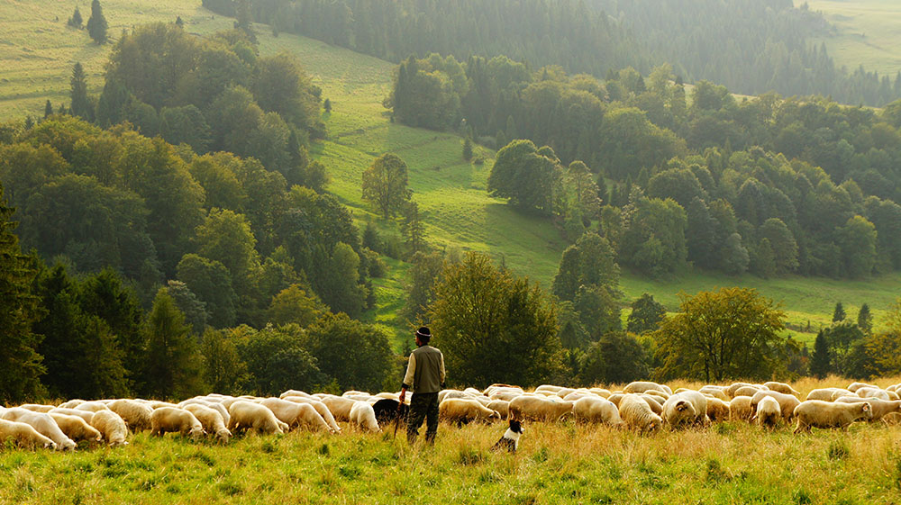 (Unsplash/Biegun Wschodni)